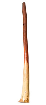 Earl Clements Bell Didgeridoo (EC384)
